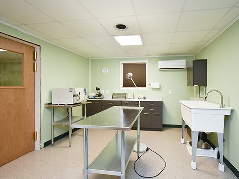 Animal clinic pre-operation ready room and testing.