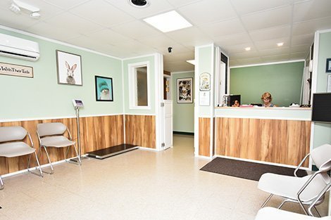 Lobby at Kindness Counts non-profit animal clinic.