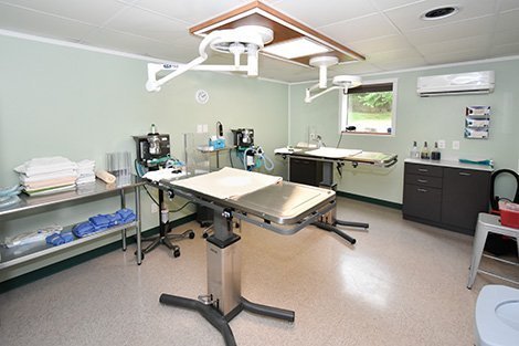 Surgery room at Kindness Counts animal clinic.