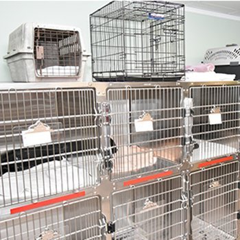 Pet Kennels for pre-post op holding