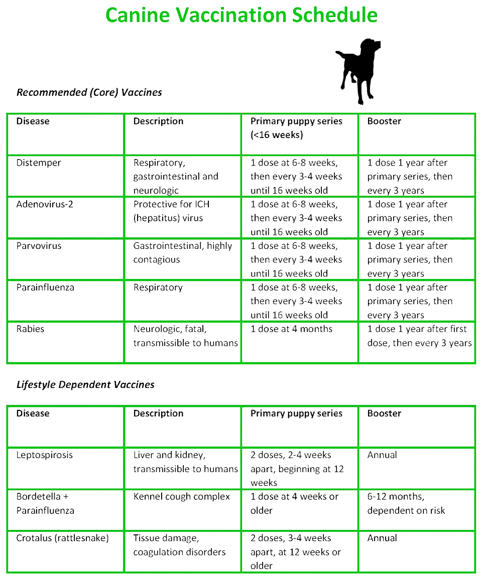 Canine Vaccination Schedule