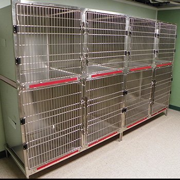 Sevierville Animal Clinic Pet Kennels | Kindness Counts ...